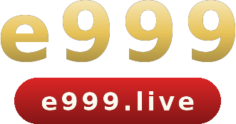 e999 logo
